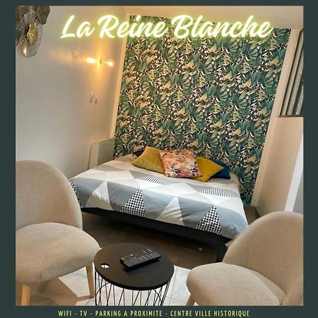 Appartamento Studio La Reine Blanche - 4Pers - Rdc Bourges Esterno foto